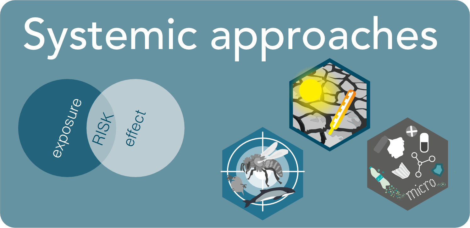 Systematic approaches